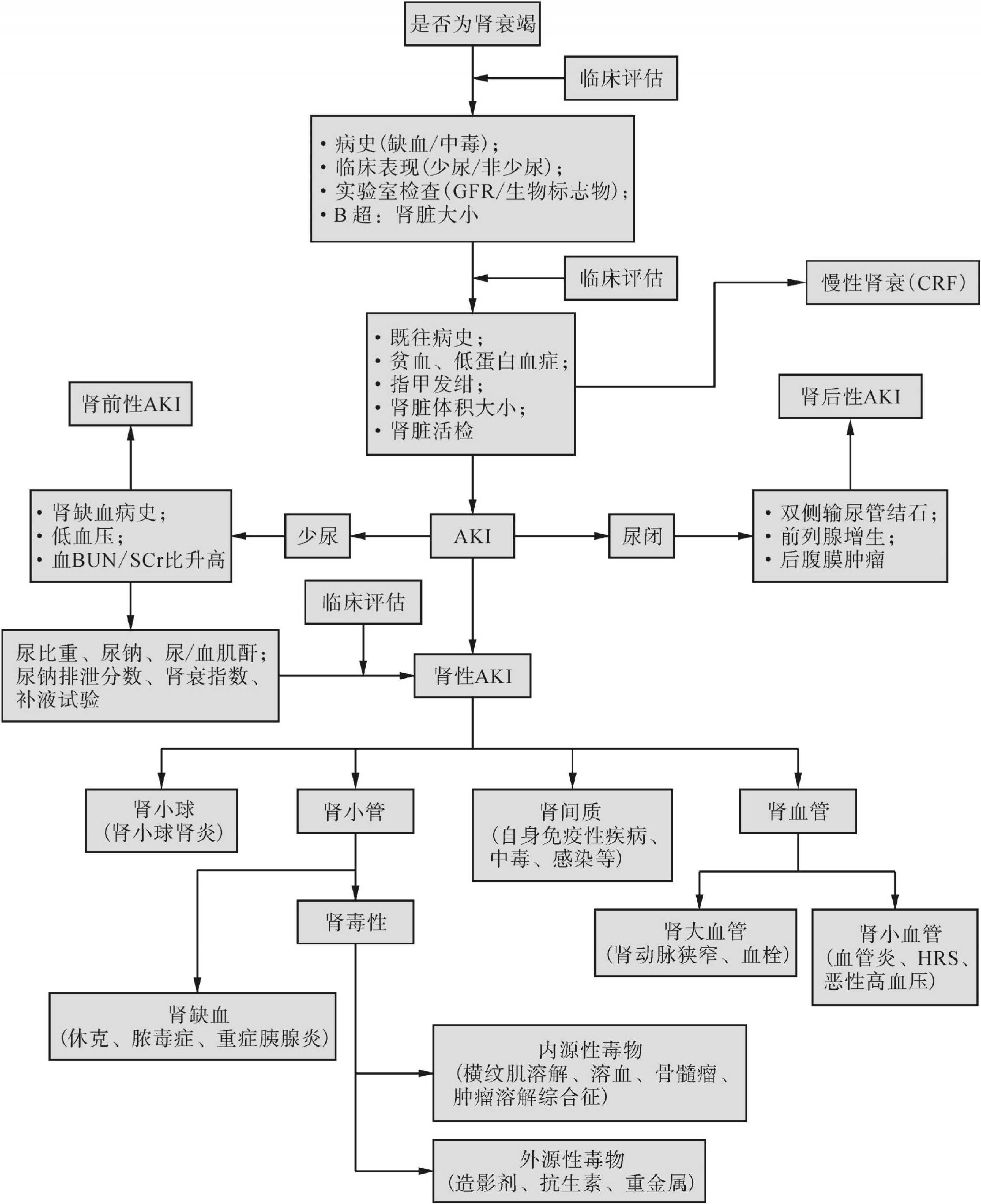 第二节 急性肾损伤